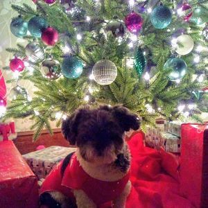 Meet your Posher, Jacquie